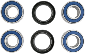 Rear Independent Suspension Repair Kit