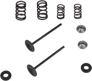 Stainless Steel Conversion Valve And Spring Kit, 1, nordicamoto.ro
