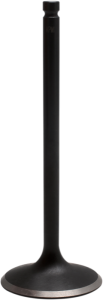 Engine Valve