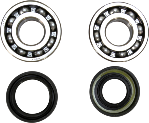 Crankshaft Bearing And Seal Kit