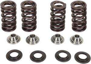 Valve Spring Kit, 1, nordicamoto.ro