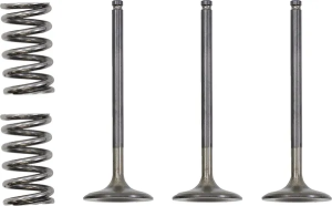 Valve And Spring Kit