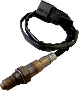 Ecm Oxygen Sensor