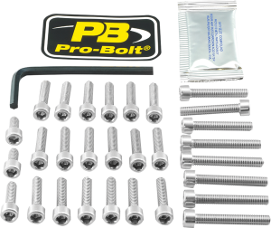 Set de șuruburi argintiu, 1, nordicamoto.ro