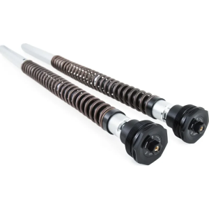 Cartridge Kit Nix30 Gold 