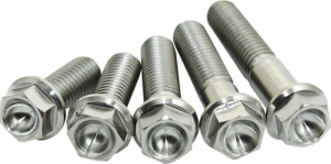 Titanium Screws Unfinished, 1, nordicamoto.ro