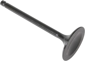 Black Diamond Engine Valve