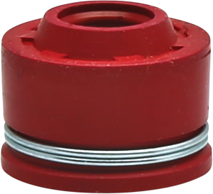 Replacement Value Guide Seal