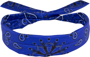 Bentita Zan Headgear Polyester Cooldanna Blue Paisley