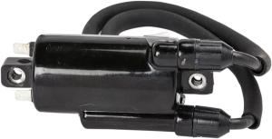 Ignition Coil Black