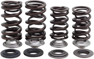 Lightweight Racing Valve Spring Kit