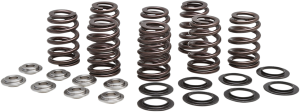 Beehive Valve Spring Kit, 1, nordicamoto.ro
