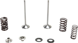 Stainless Exhaust Valve And Spring Kit 