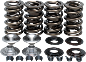 Valve Spring Kit, 1, nordicamoto.ro