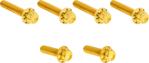 Transmission Side Cover Titanium 12-Point Bolt Kit Gold