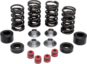 Valve Spring Kit, 1, nordicamoto.ro