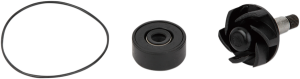 Water Pump Repair Kit