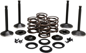Engine Kit, 1, nordicamoto.ro
