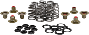 Spring Kit Bhive M8 .625