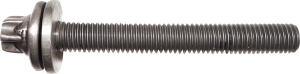Crankcase Bolt Silver