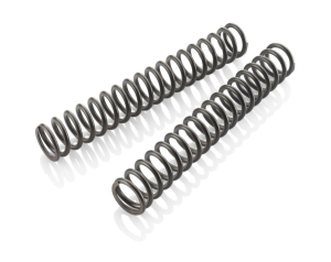 Main spring (30.5) 11-260 fork polished