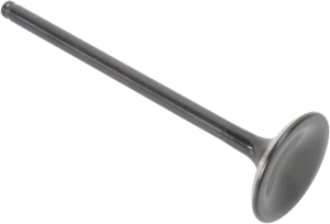 Black Diamond Engine Valve