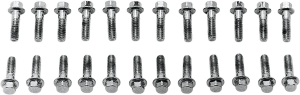 Valve Cover Screw Kit Silver