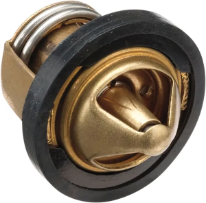 Replacement Thermostat 