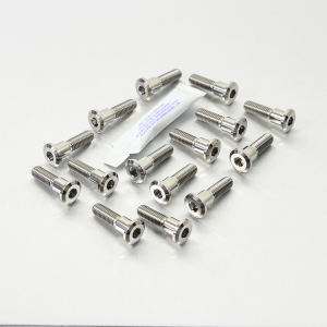 Brake Rotor Mounting Bolt Kit Silver, Unfinished, 2, nordicamoto.ro
