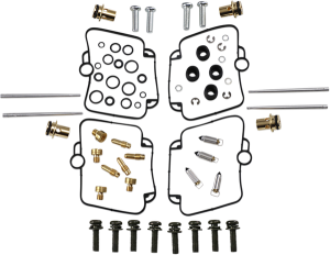 Set de reparație pentru carburator, 1, nordicamoto.ro