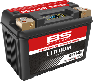 Lithium Lifepo4 Battery Black