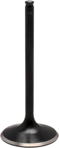 Black Diamond Engine Valve