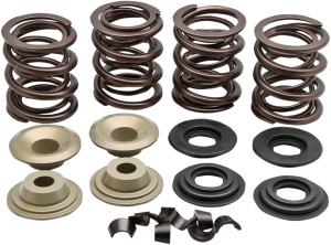 Complete Valve Spring Kit, 2, nordicamoto.ro