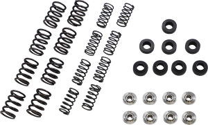Lightweight Racing Valve Spring Kit, 1, nordicamoto.ro