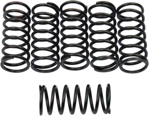 Clutch Spring Kit Black, 1, nordicamoto.ro
