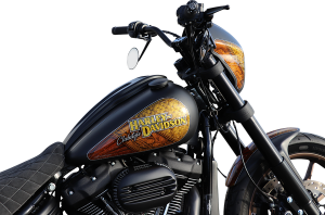 Dash Cover For Harley Black, Raw, 2, nordicamoto.ro