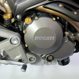 Bolt Kit Gold