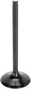 Black Diamond Engine Valve