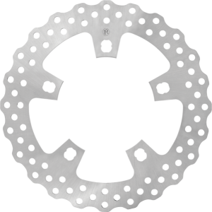 Spoke Mount Disc Silver