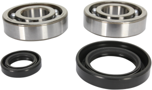 Crankshaft Bearing And Seal Kit