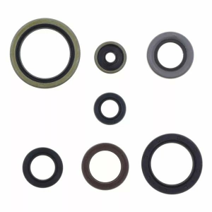 Engine Oil Seal 