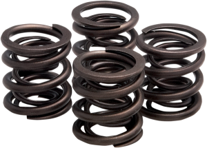 Valve Spring Kit, 1, nordicamoto.ro