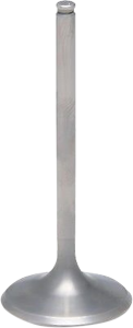Tensilite® Engine Valve