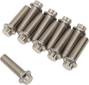 Bolt 12pt 3/8-16x1 1/4 Silver, 1, nordicamoto.ro