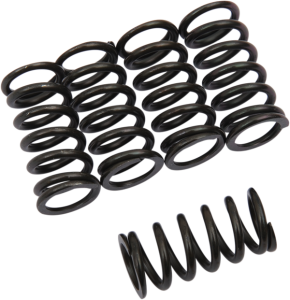 Clutch Spring Kit Black, 1, nordicamoto.ro