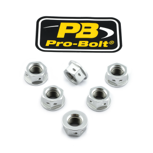 Sprocket Nuts Silver