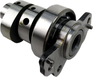 Cam Raptor 700 Stg 3