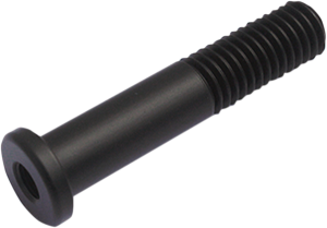 Atto ® Mounting Screw Black