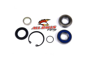 ALL-BALLS Bearing&seal kit