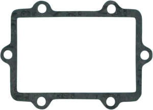 Reed Gasket